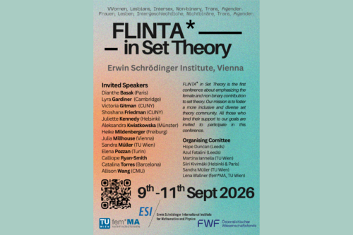 FLINTA* in Set Theory Poster